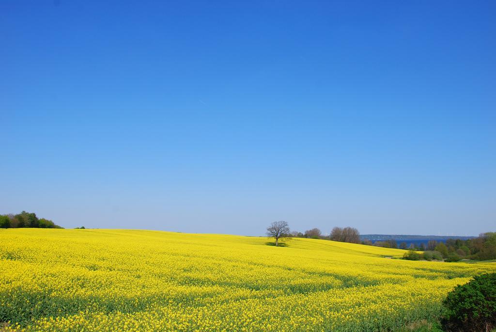 Meine Ecke 1 Eckernfoerde Luaran gambar